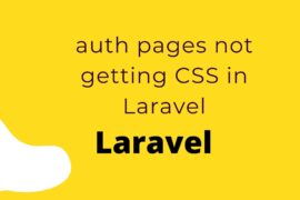 Auth Pages Not Getting CSS In Laravel Real Programmer